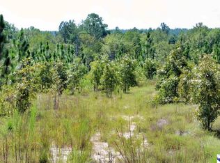 Wire Rd #3, Patrick, SC 29584