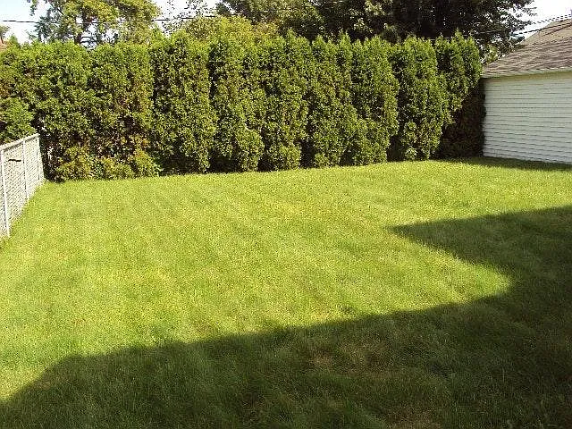 2 bed, 1100 sqft, $1,750 — Photo 2