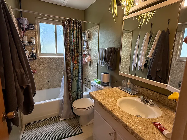 Hall bathroom