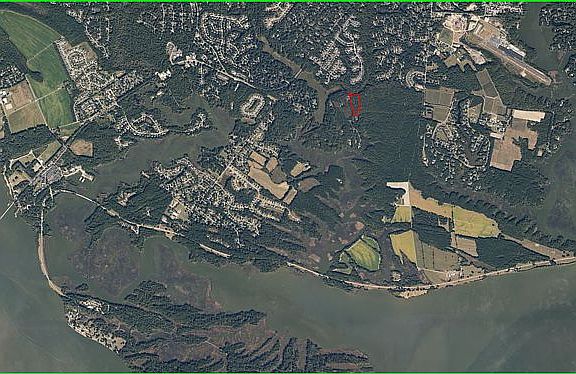 Near Jamestown Island