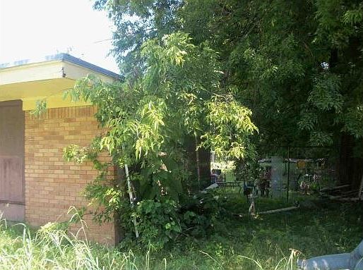 Property Front View