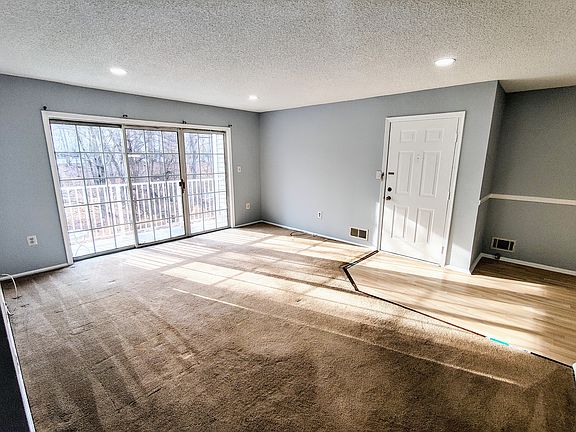 Living room and the main entrance