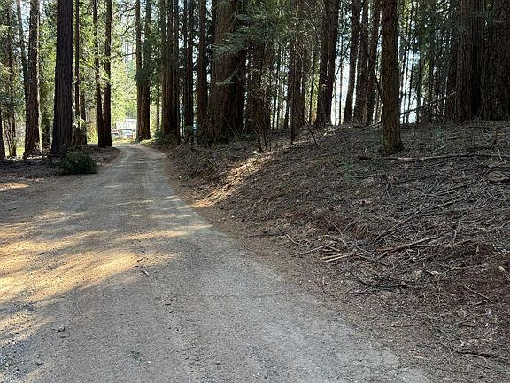 5th image of Caine Rd