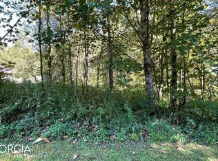 LOT 34 Springs Ln, Hayesville, NC 28904