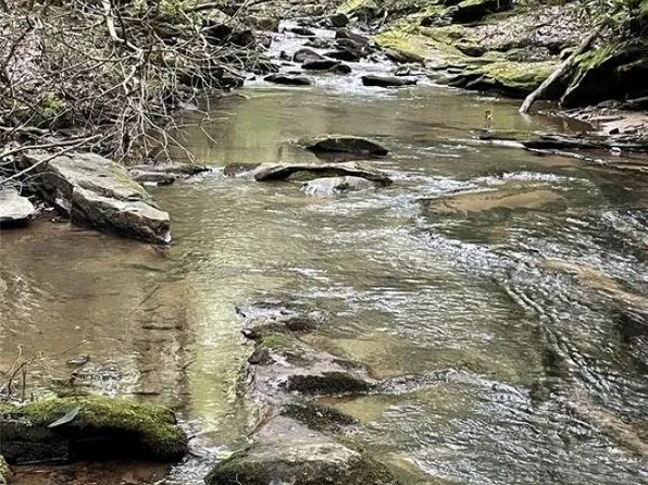 0 Green Creek Dr, Tryon, NC 28782