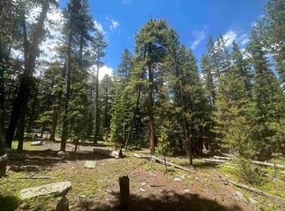 Evenden Rd, Pitkin, CO 81241