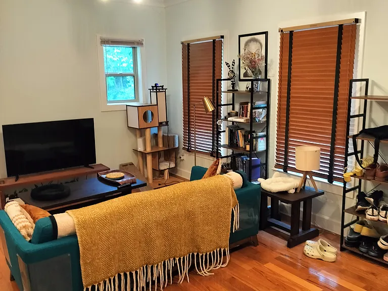 361 Ivy Pl — Photo 3
