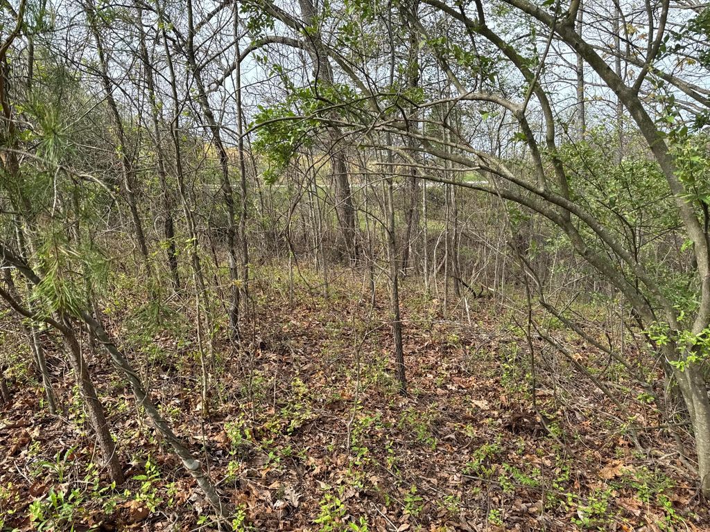 Real estate listing image