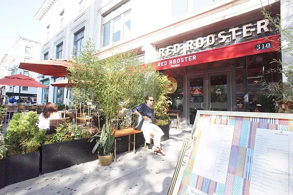 Rented by Nest Seekers International | media 6