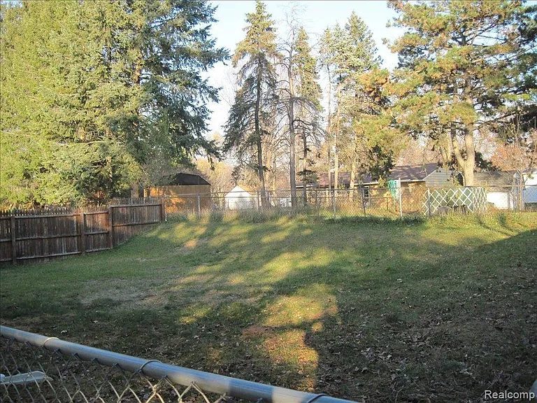 BackYard2