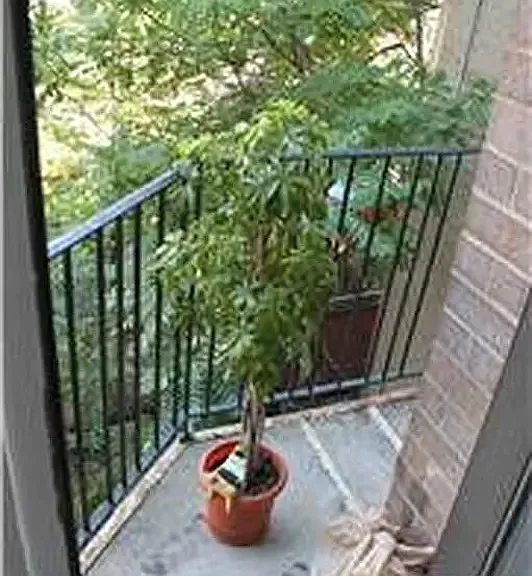 211 Thompson St #3C — Photo 5