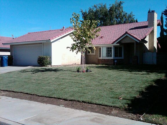 Front House 2