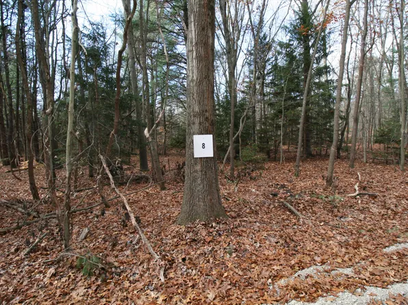 Westwood Trl #8.2, Hamilton, MI 49419