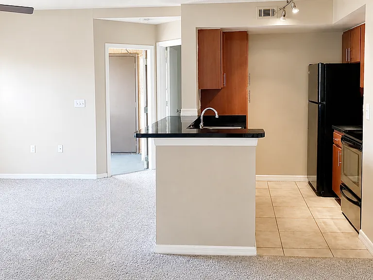 441 Fountainhead Cir #271 — Photo 11