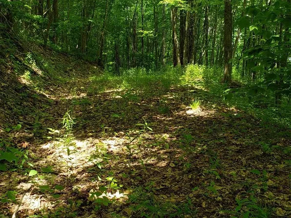 1111 E Clubhouse Rd, Sylva, NC 28779