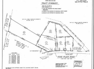 1244 Pine Plain Rd, Gaston, SC 29053