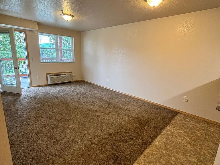 1661 Shindig Dr — Photo 3