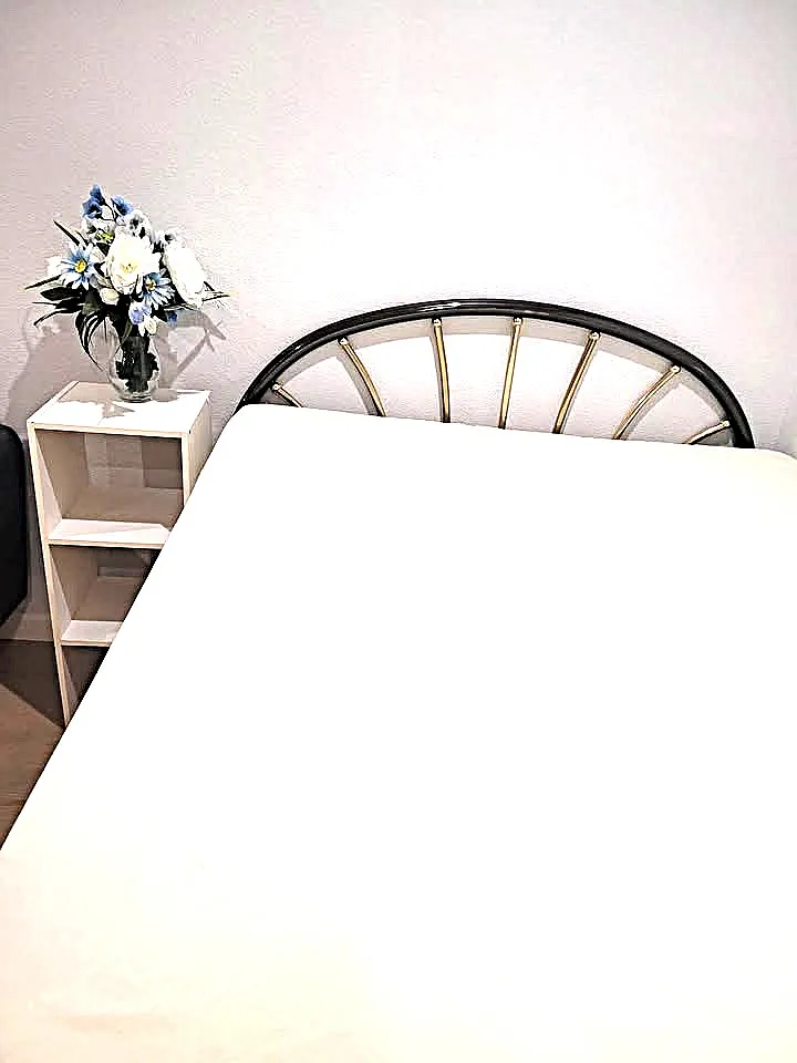 Studio, 281 sqft, $2,200 — Photo 4