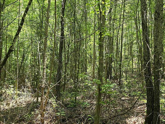 4th image of 331 Maple St