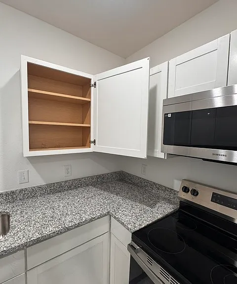 8503 S Flores St #1101 — Photo 4