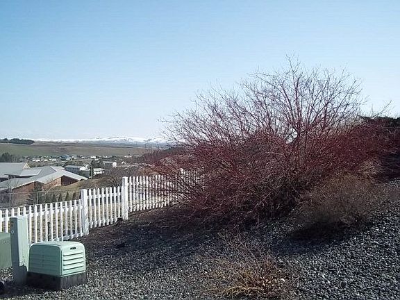4th image of 720 SE Carolstar Dr