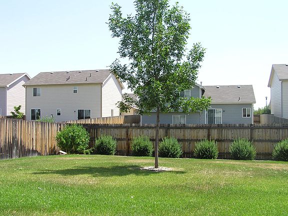 Large back yard