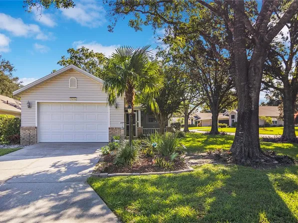 25036 Cranes Roost Cir, Leesburg, FL 34748