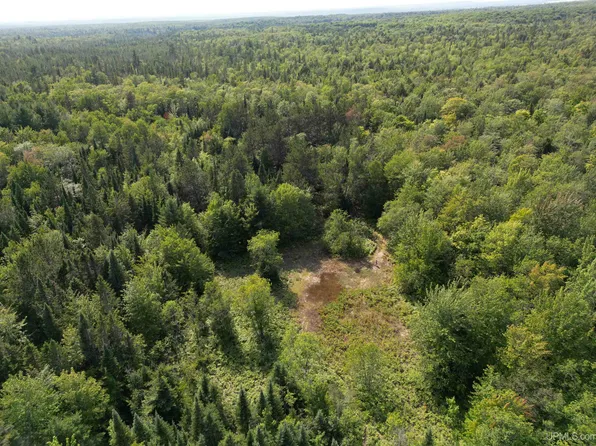 Tbd Ridge Rd, Au Train, MI 49806