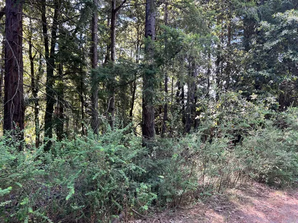 45631 Pacific Woods Road, Gualala, CA 95445