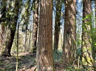 0 Coyote Ln, Castle Rock, WA 98611