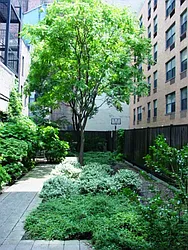 Rented by Lisa Management