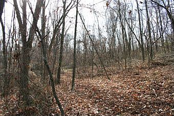 1st image of North Blackburn Road Tract 1