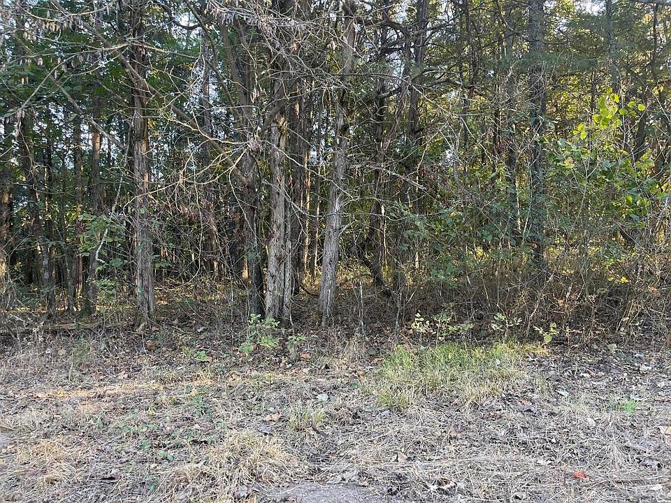 2nd image of 43 E Mockingbird Trl