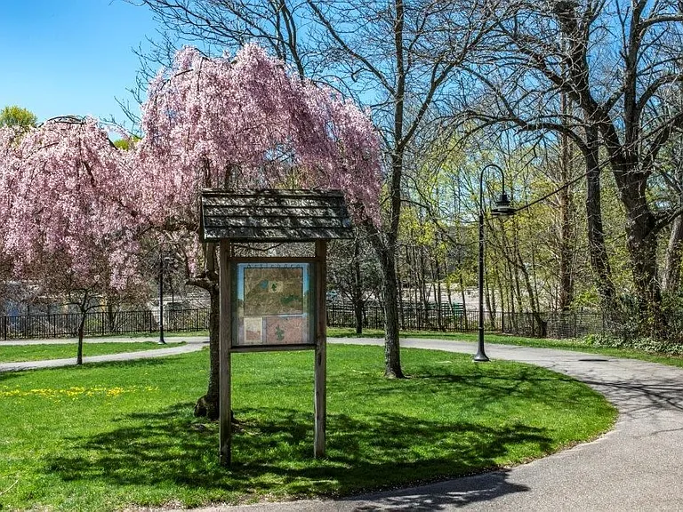 Nearby Park