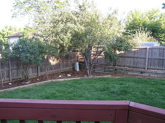 Apple tree, lilacs bushes (2018 photo)