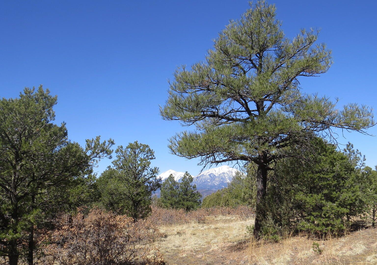 Peakview Rd, Trinidad, CO Zillow