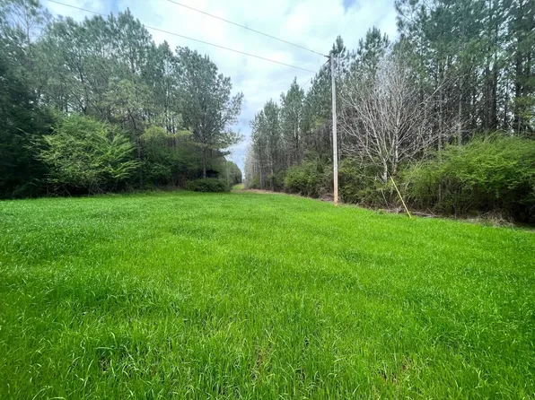 Airport Rd, Greenville, AL 36037