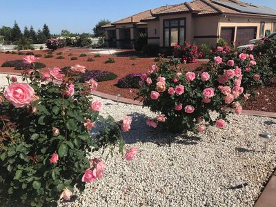 9601 Stablegate Rd, Wilton, CA, 95693