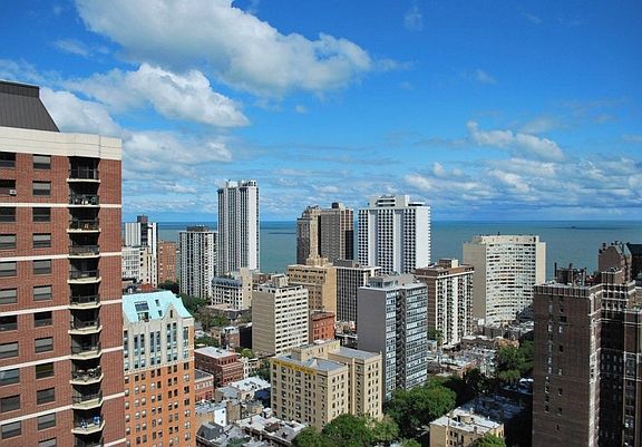 5th image of 1133 N Dearborn St APT 1005