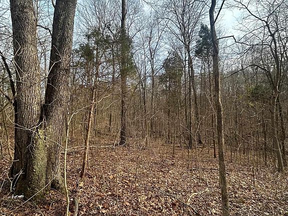 3rd image of 0 County Road 1200 N