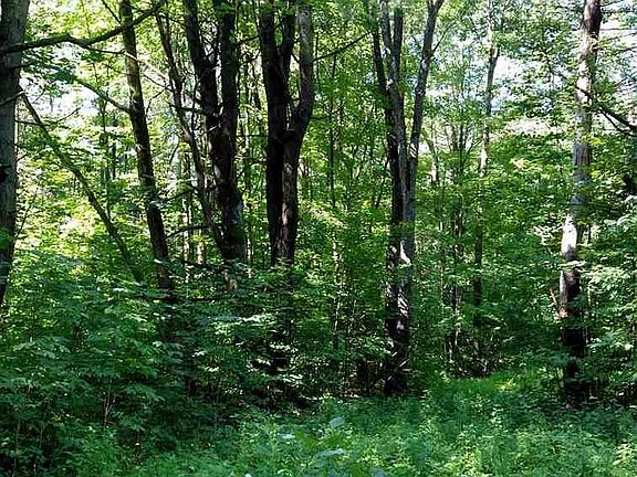 3rd image of 4865 State Highway 29
