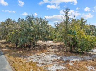 1 Treasure Island Rd, Leesburg, FL 34788