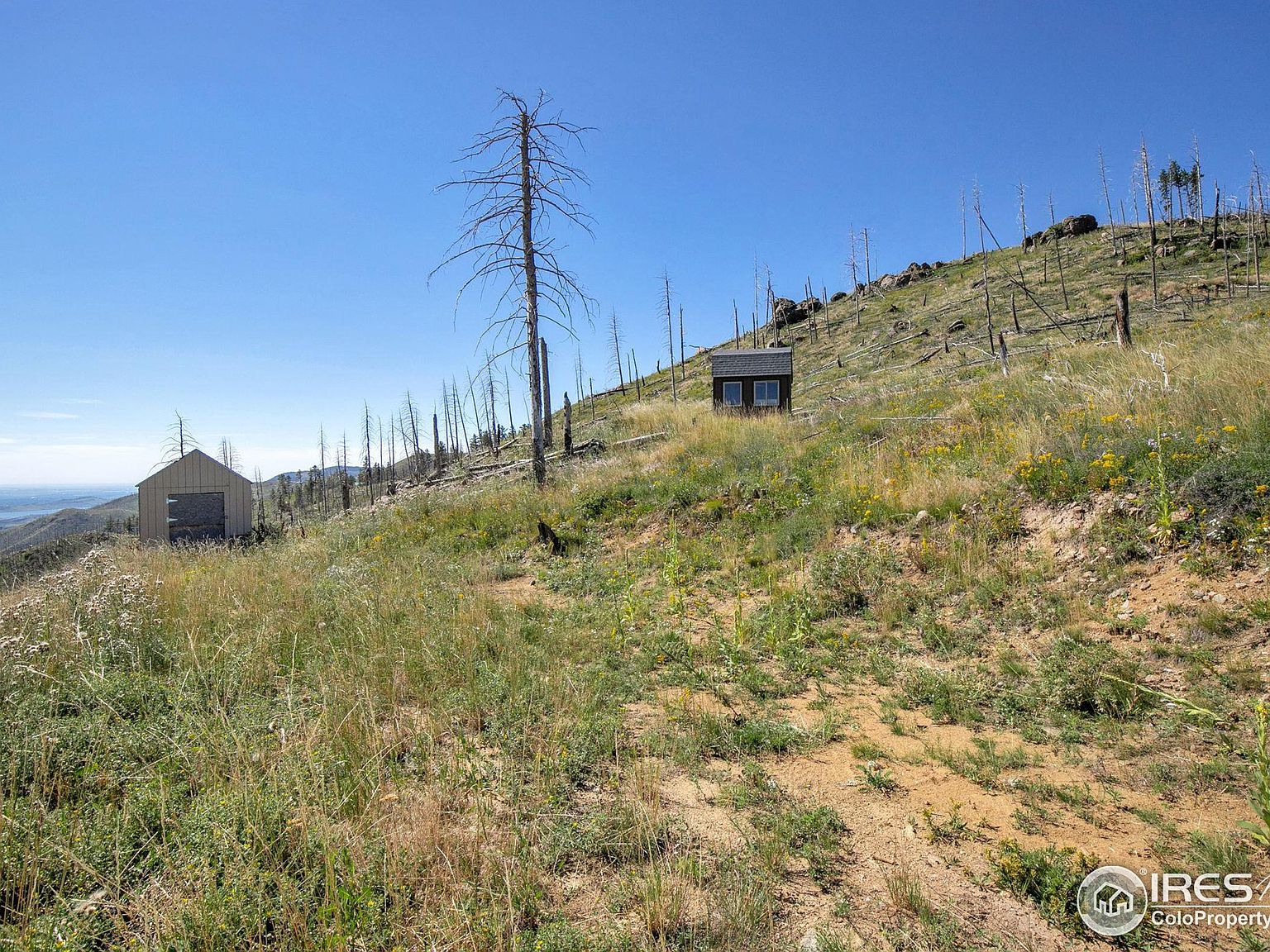 Pine Acres Way, Bellvue, CO 80512 MLS 994227 Zillow