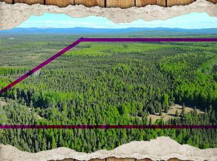 TRACT A Section #20-1S, Fairbanks, AK 99712