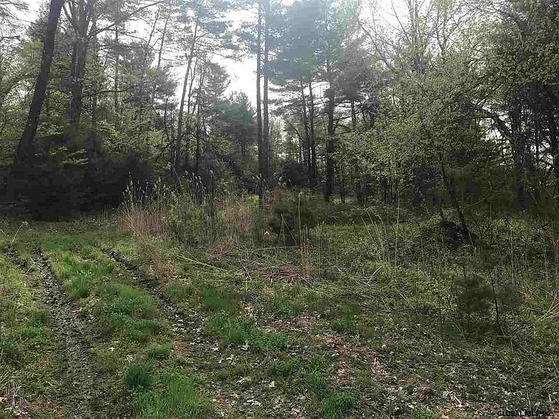 2nd image of 0 RESERVOIR Road #Pittstown