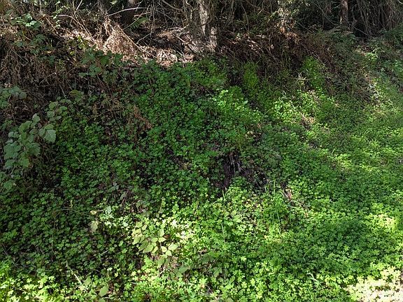 4th image of 8055 Glen Haven Rd