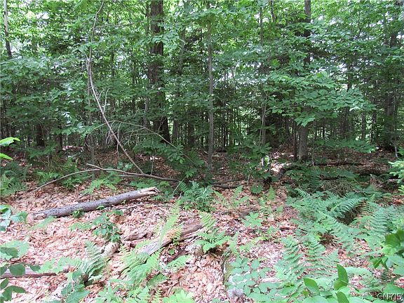 3rd image of Palisades Rd W Lot 9