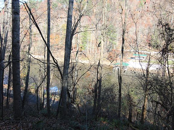 4th image of 0 Goose Bradley Ln