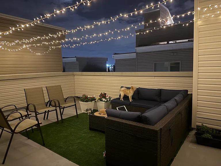 Roof top