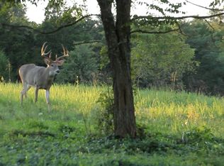 Lucas Lane, Frankfort, KY 40601